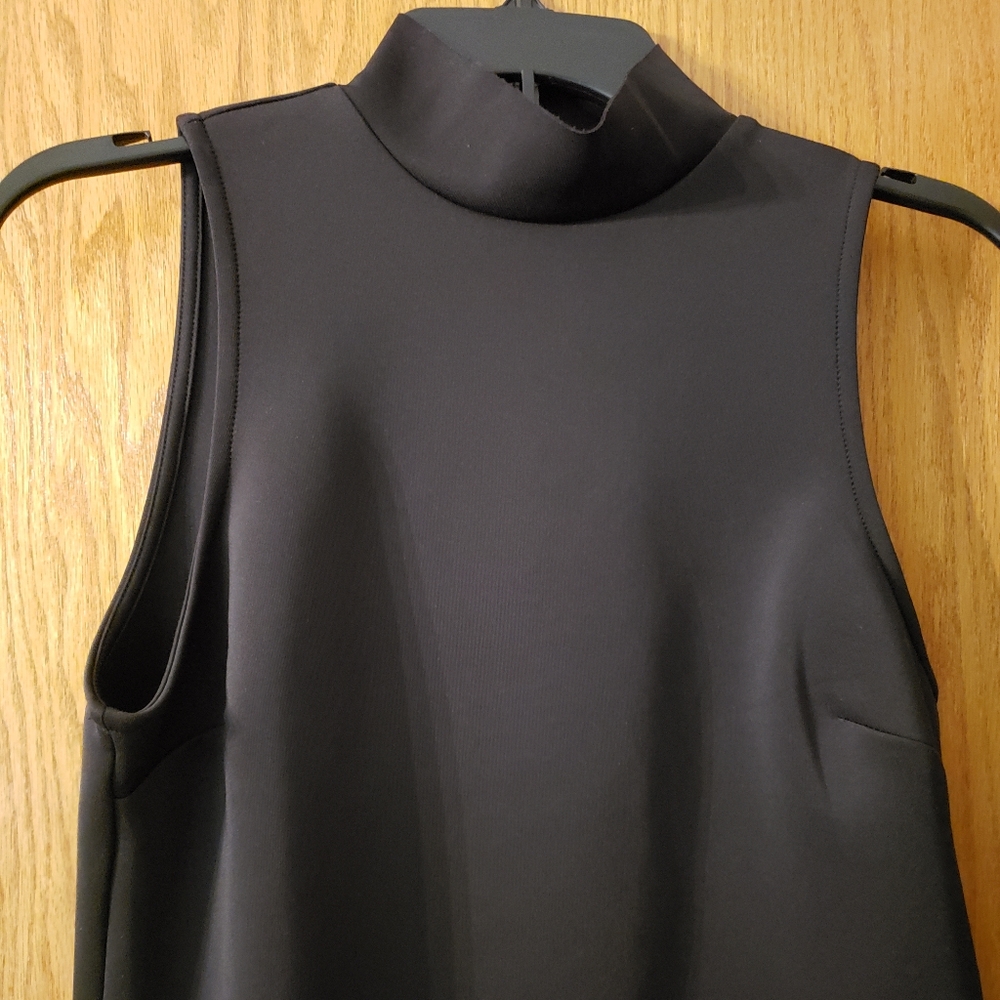 NWOT Mock turtleneck sleeveless cropped top.